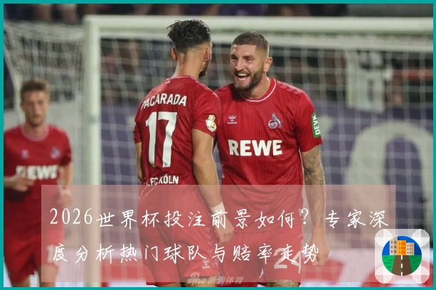 2026世界杯投注前景如何？专家深度分析热门球队与赔率走势