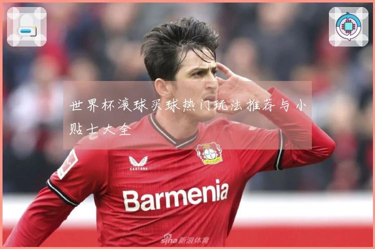 世界杯滚球买球热门玩法推荐与小贴士大全