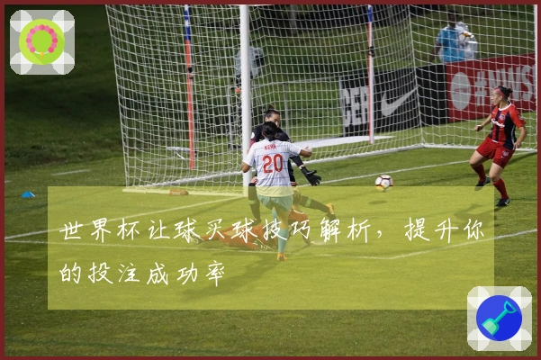 世界杯让球买球技巧解析，提升你的投注成功率