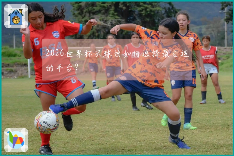 2026世界杯买球该如何选择最合适的平台？