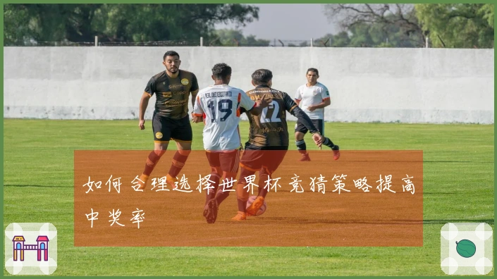 如何合理选择世界杯竞猜策略提高中奖率