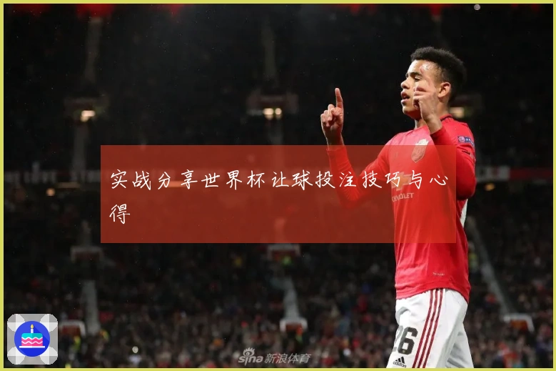 实战分享世界杯让球投注技巧与心得