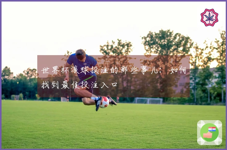 世界杯滚球投注的那些事儿：如何找到最佳投注入口