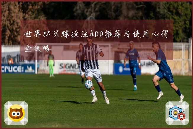 世界杯买球投注App推荐与使用心得全攻略