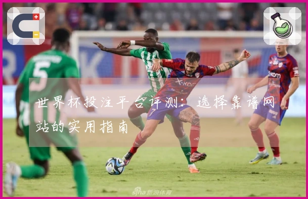 世界杯投注平台评测:选择靠谱网站的实用指南