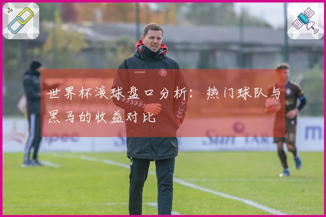 世界杯滚球盘口分析:热门球队与黑马的收益对比