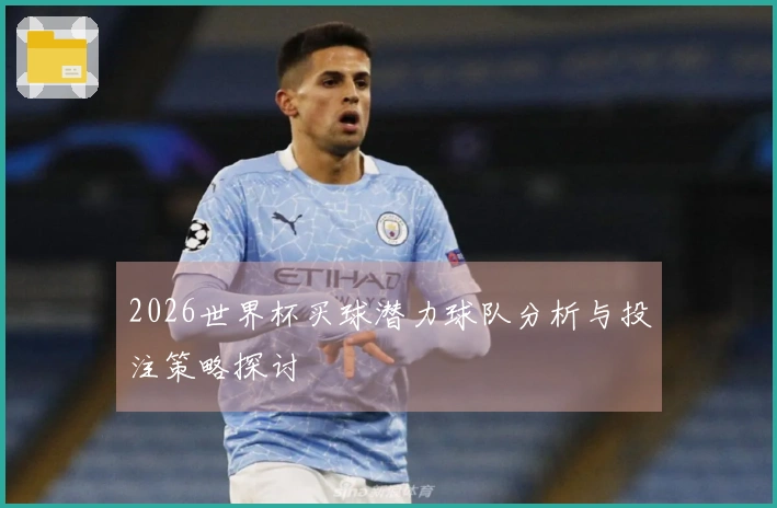 2026世界杯买球潜力球队分析与投注策略探讨